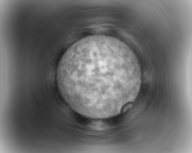 X0000088480753200706051400