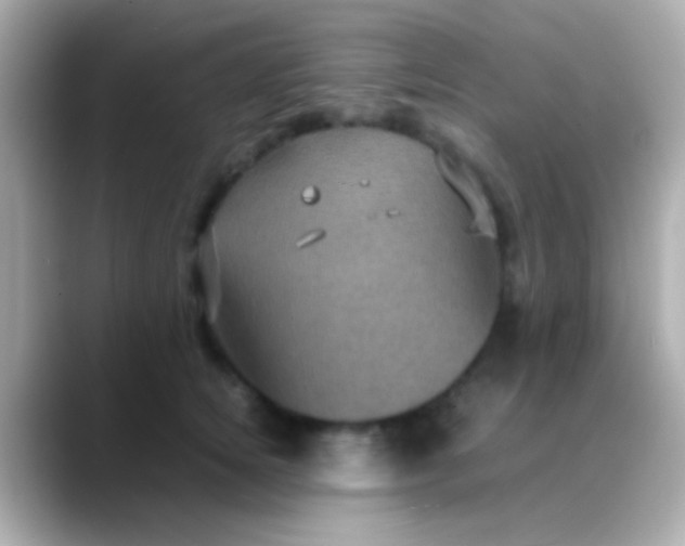 X0000088480756200706051400