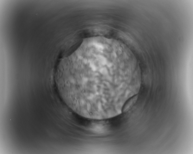 X0000088480757200706051400