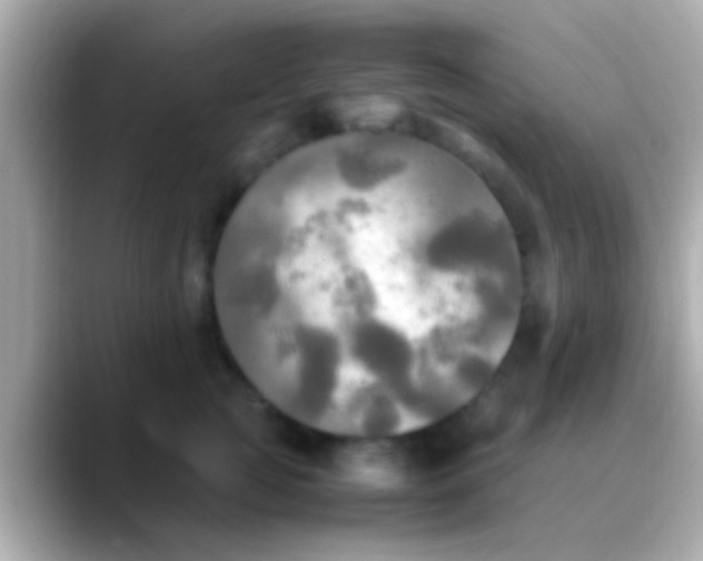 X0000088480761200706051400