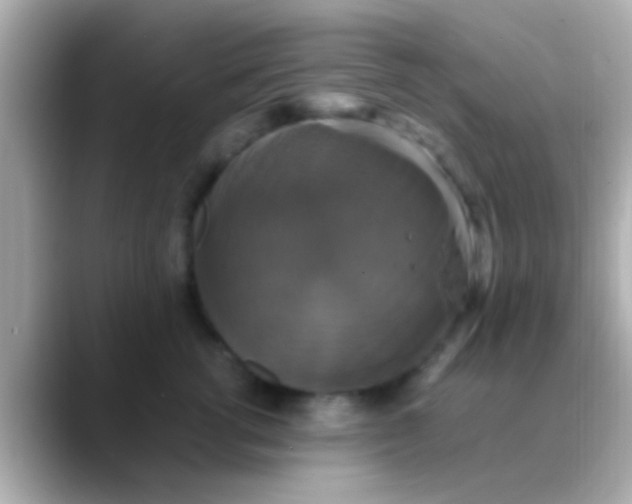 X0000088480762200706051400