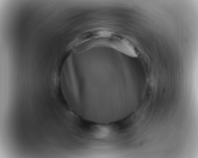 X0000088480763200706051400