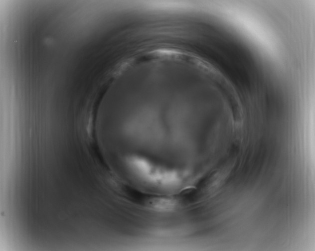 X0000088480765200706051400