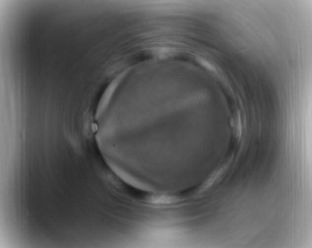 X0000088480766200706051400
