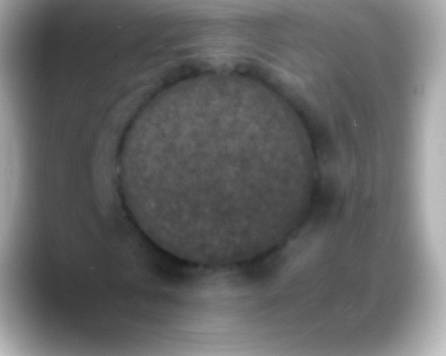 X0000088480769200706051400