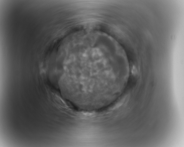 X0000088480771200706051400