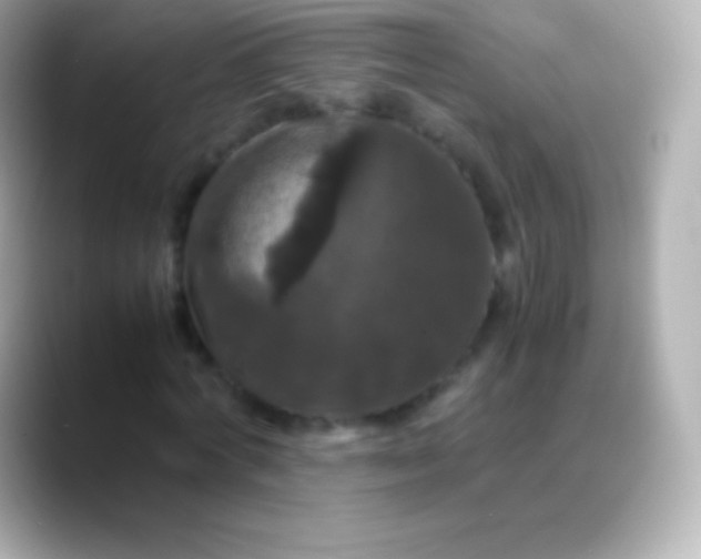 X0000088480772200706051400