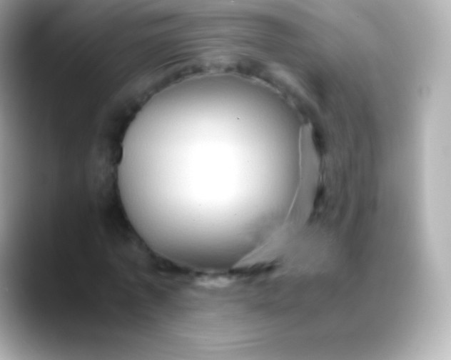 X0000088480773200706051400