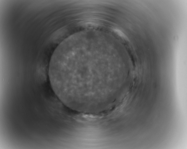 X0000088480774200706051400