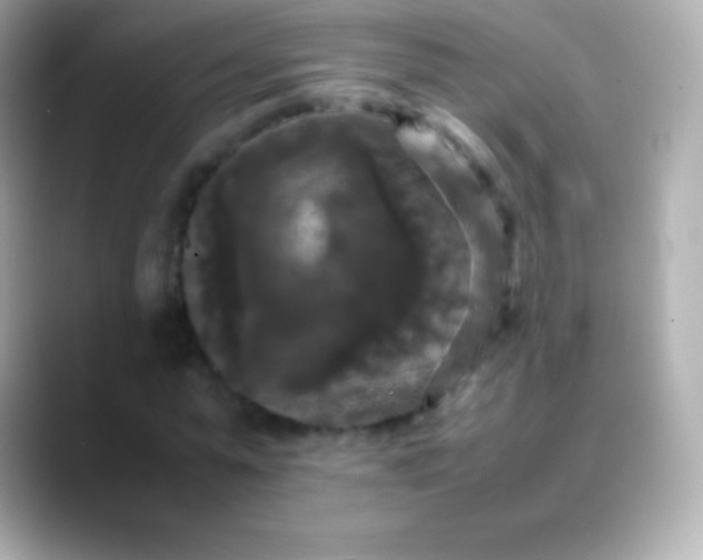 X0000088480775200706051400
