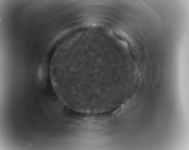X0000088480776200706051400