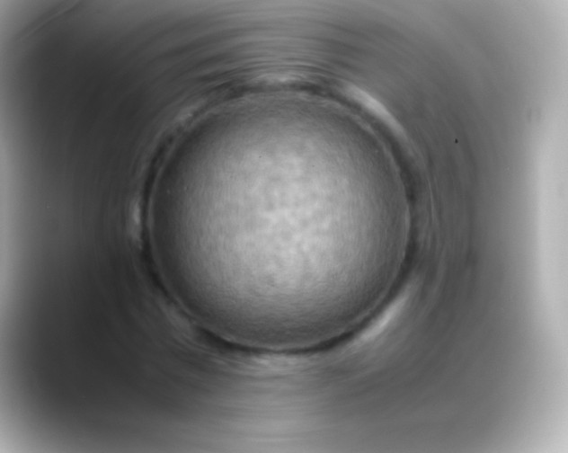 X0000088480777200706051400