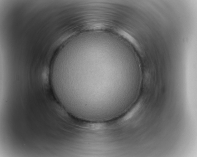 X0000088480778200706051359