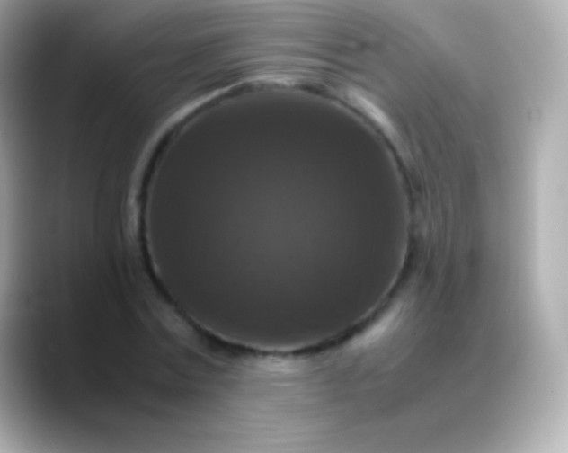 X0000088480779200706051359