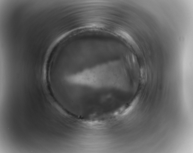X0000088480780200706051359