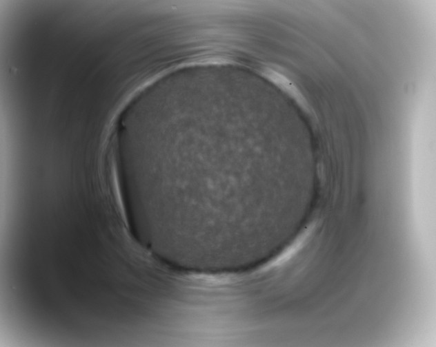 X0000088480781200706051359