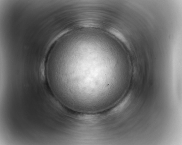 X0000088480782200706051359