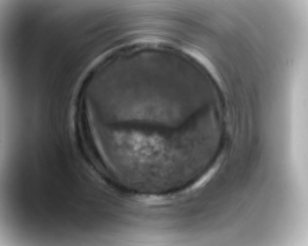 X0000088480783200706051359
