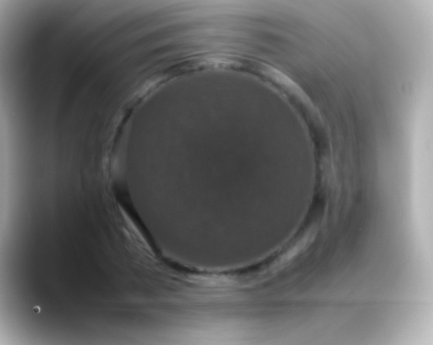 X0000088480785200706051359