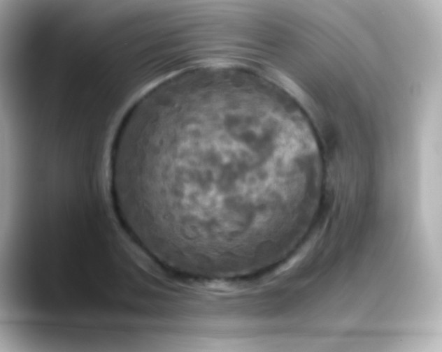 X0000088480787200706051359