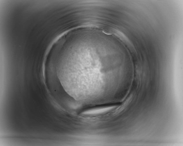X0000088480788200706051359