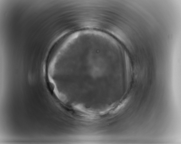 X0000088480790200706051359