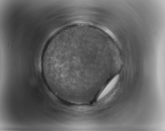 X0000088480791200706051359