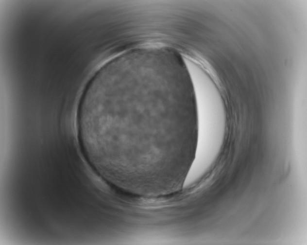 X0000088480795200706051359