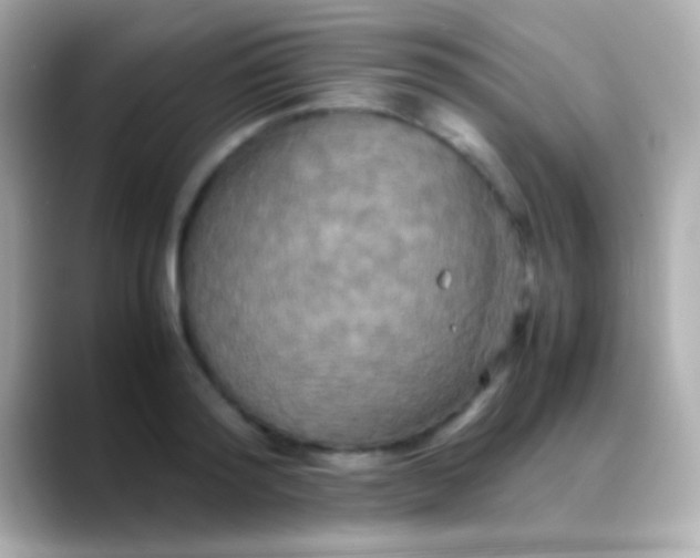 X0000088480796200706051359