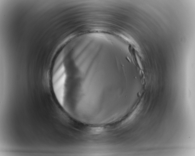 X0000088480798200706051359
