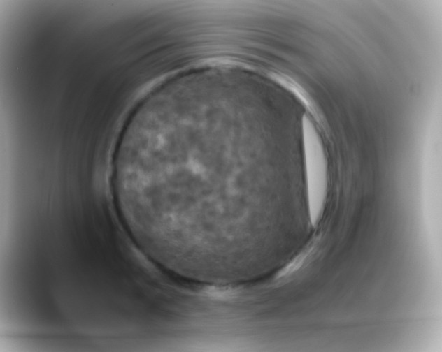 X0000088480799200706051359