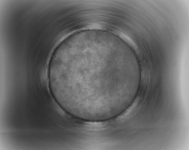 X0000088480800200706051359