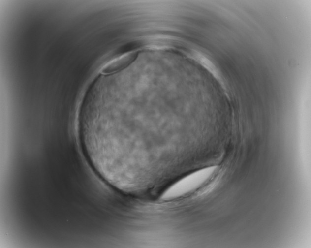 X0000088480803200706051359