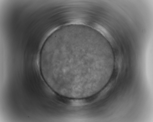 X0000088480804200706051359