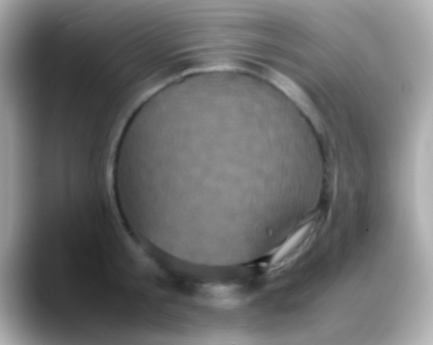 X0000088480805200706051359