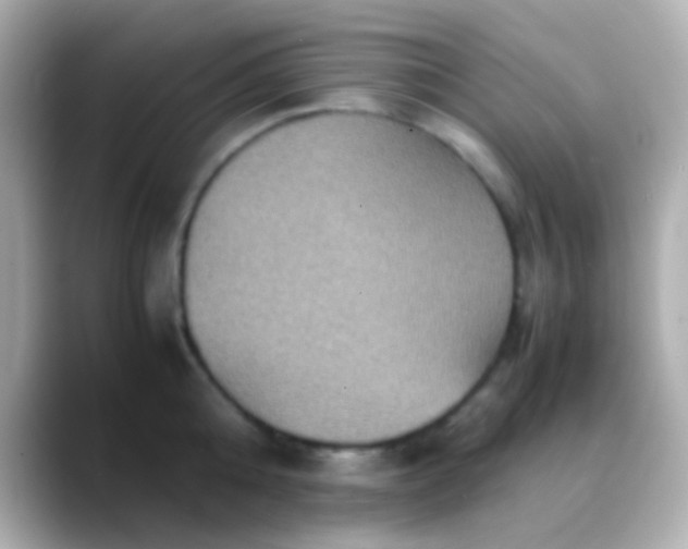X0000088480808200706051359