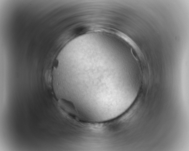 X0000088480809200706051359