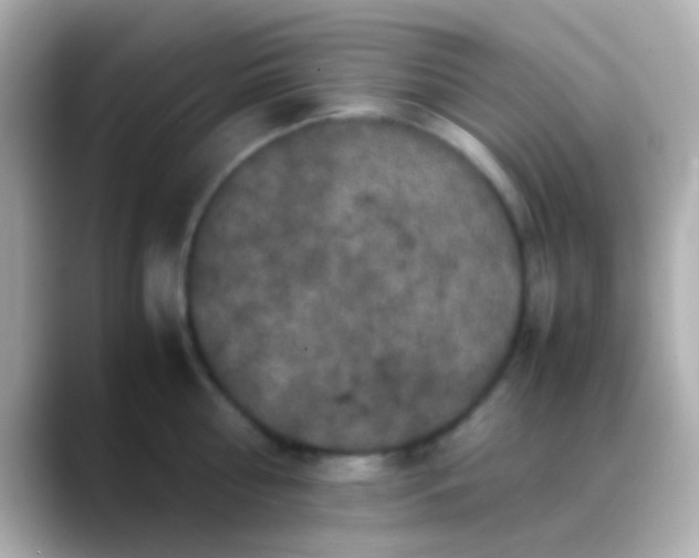 X0000088480810200706051359