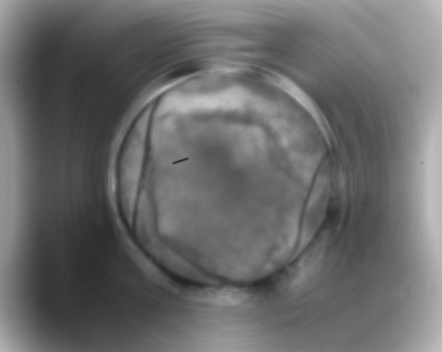 X0000088480811200706051359