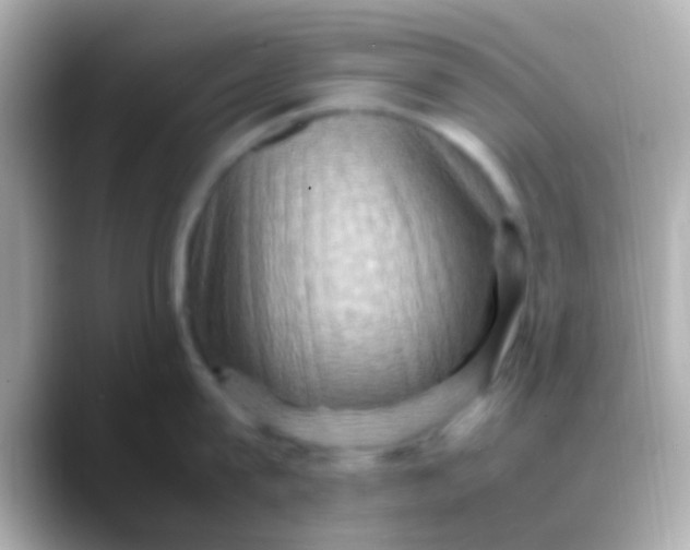 X0000088480815200706051359