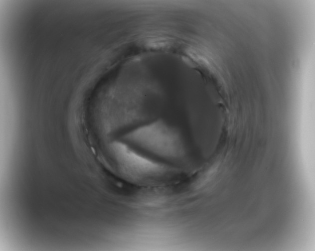 X0000088480817200706051358