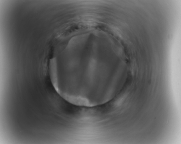 X0000088480818200706051359