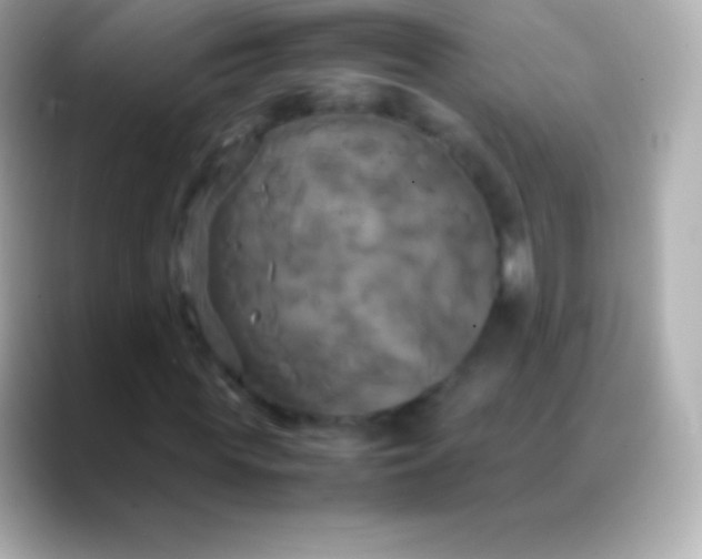 X0000088480819200706051359