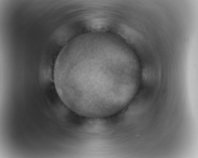 X0000088480820200706051359