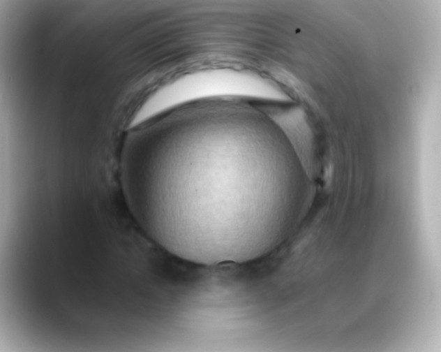 X0000088480822200706051359