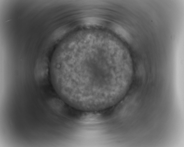 X0000088480824200706051359