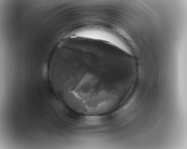 X0000088480825200706051359
