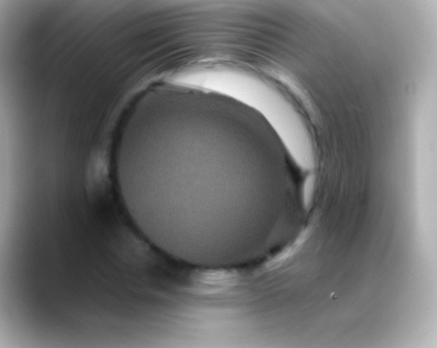 X0000088480826200706051359