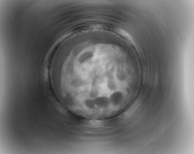X0000088480827200706051359
