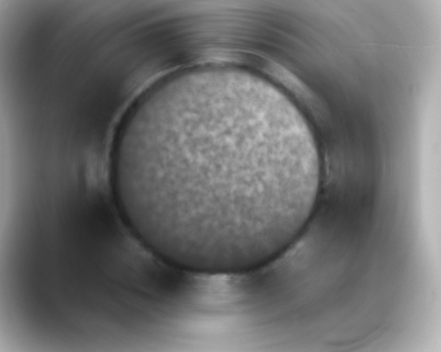 X0000088480828200706051359